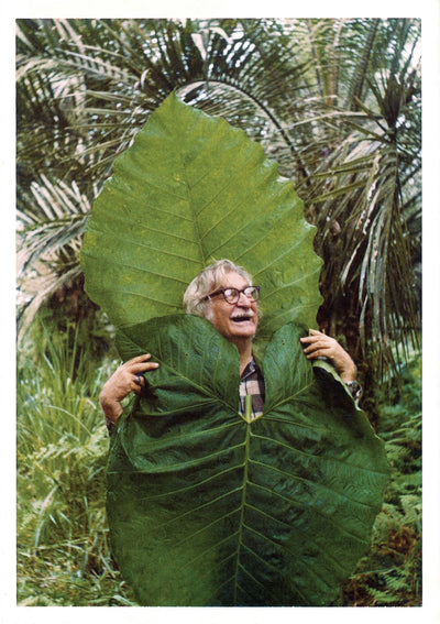 Kvepalai Paradisi