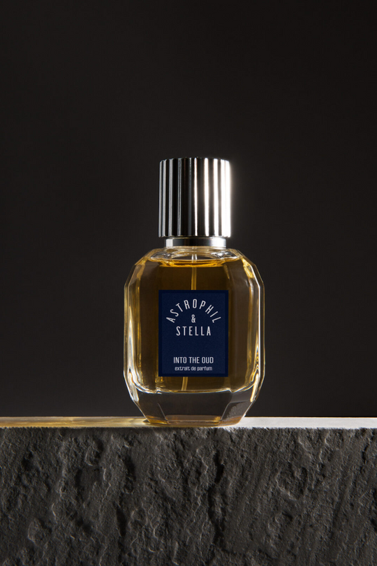 Into the Oud◇ASTROPHIL&STELLA 30ml Into the Oud◇ASTROPHIL&STELLA 30ml